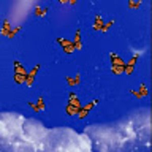 Meet your Posher, Kasey